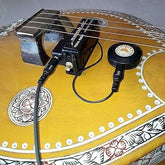 Supreme Musicals (Veena Pick up) Version 2.0 – Taal Musicals